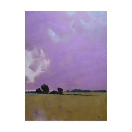 Paul Bailey 'Over The Fields To The Distant Sea' Canvas Art,14x19